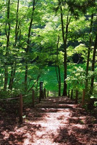 名水百撰「竜ヶ窪」